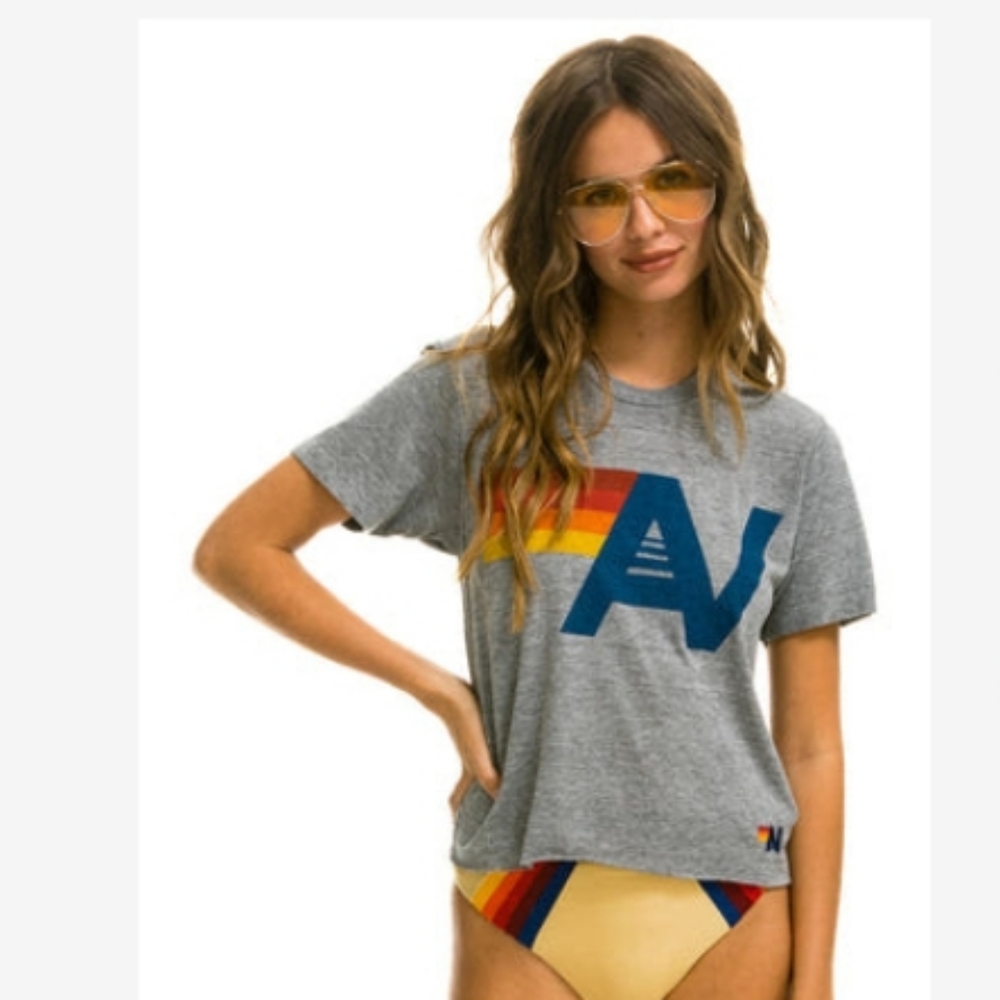 Aviator Nation Logo Boyfriend Tee in Heather Grey